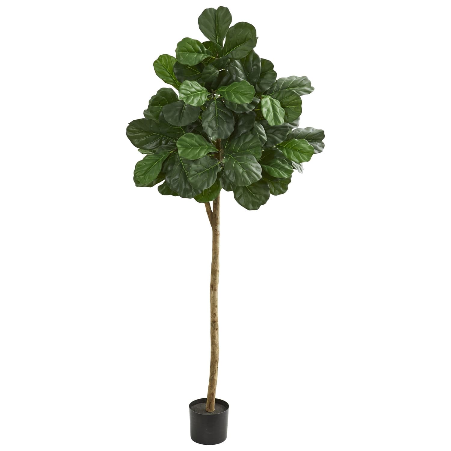 Nearly Natural 6ft Fiddle leaf fig Artificial Tree Green - Walmart.com