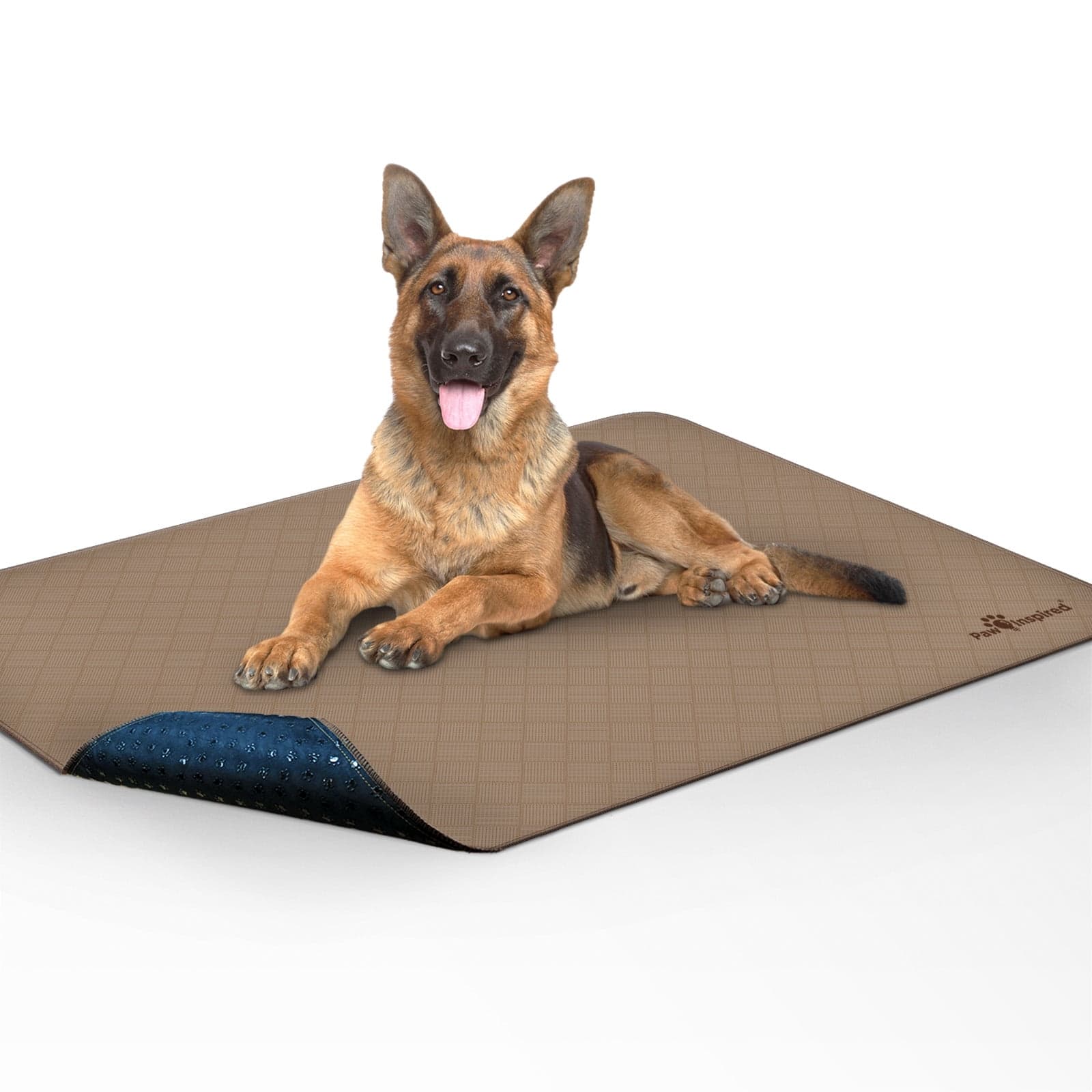 Paw Inspired Washable Pee Pads for Dogs | Reusable Puppy Pads ...