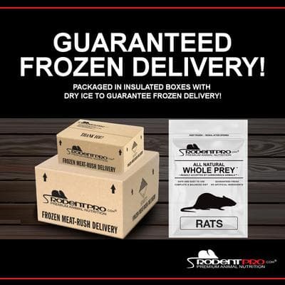 RODENT PRO Frozen Reptile Food, Large R…