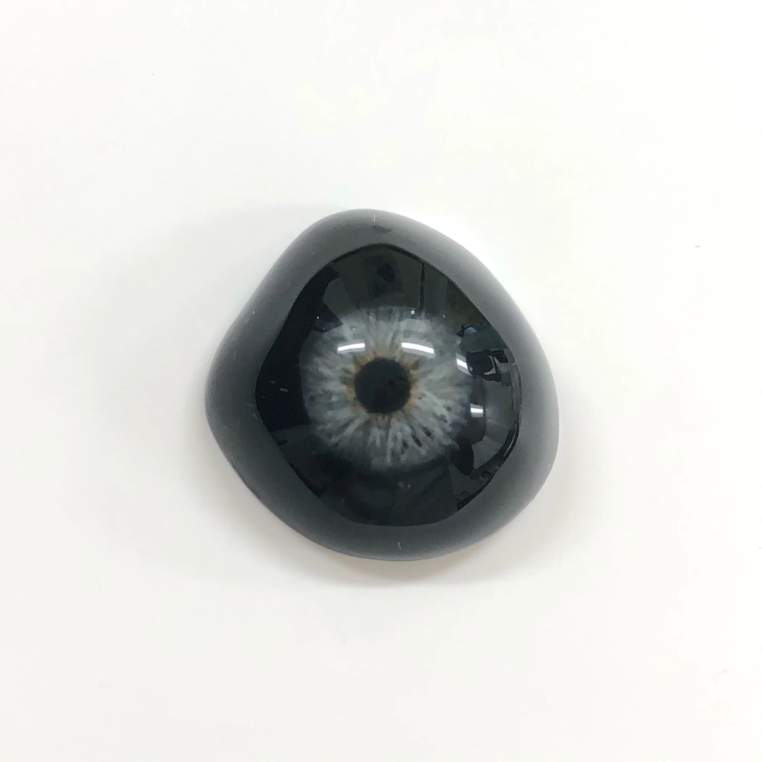 Best Ocular Prosthetics in Canada — 2026 Guide & …