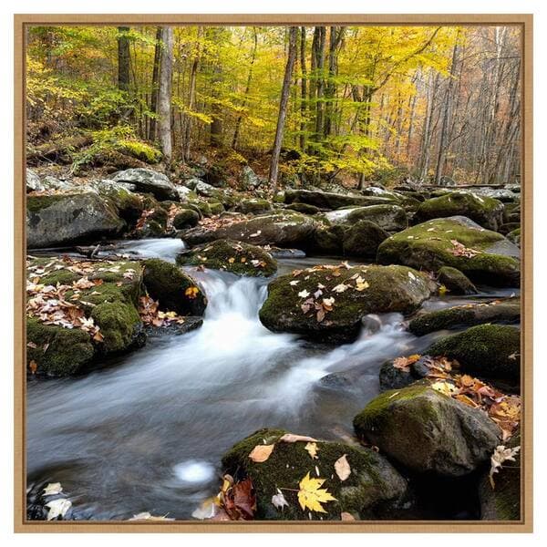 Amanti Art Autumn Rush by Danny Head 30 in. W x 30 in. H. Canvas ...