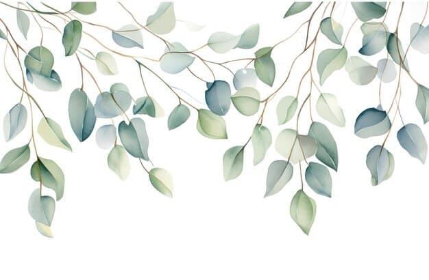 Premium Photo | Eucalyptus wreath greenery illustration cute eucalyptus ...