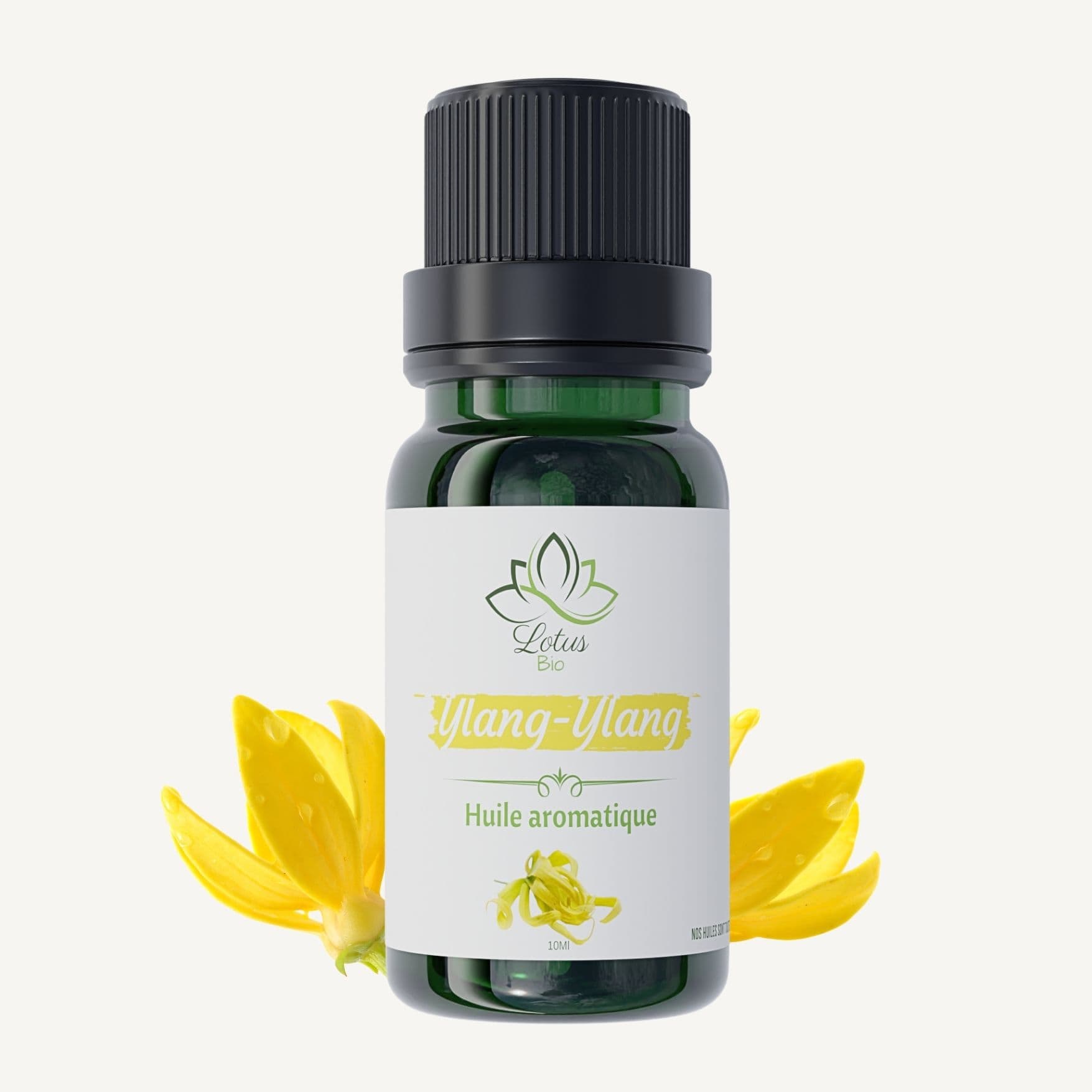 huile de ylang ylang Bio Maroc, ylang ylang essential oil