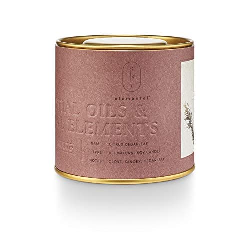Earth Element Plant Based Wax Cruelty Free Tin Candle Warm, Herbal ...