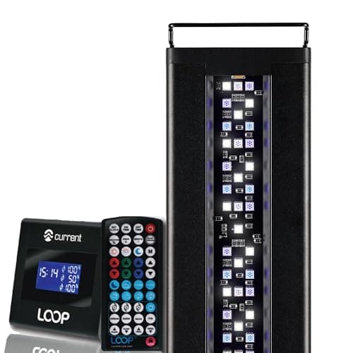 CURRENT USA 36-48" Inch Orbit Marine IC Loop LED Saltwater Reef Marine Aquarium Light with Bluetooth App Control | Wireless Lighting & eFlux Wave Pump Control for Fish Tank (4206)