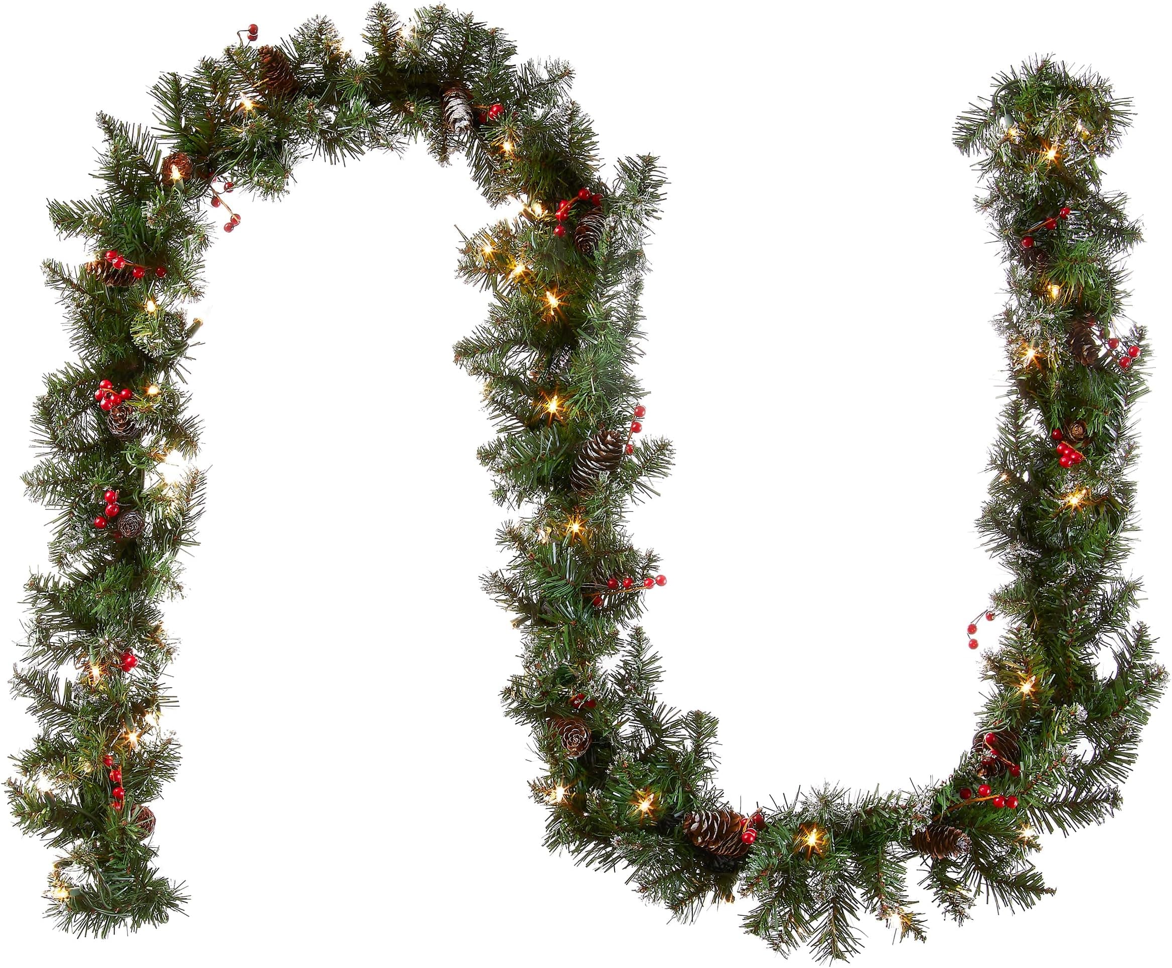 Amazon.com: National Tree Company Artificial Christmas Garland, Green ...
