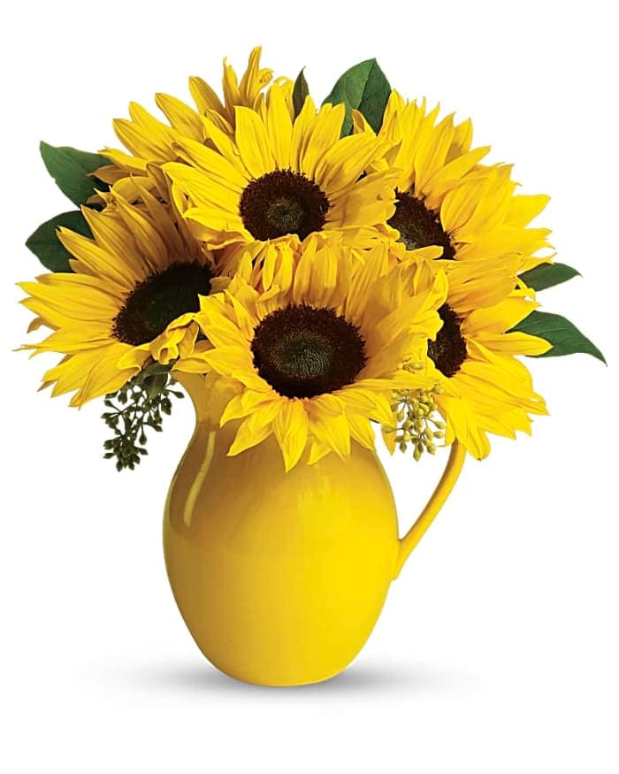 Teleflora's Sunny Day Pitcher of Sunflowers - Teleflora