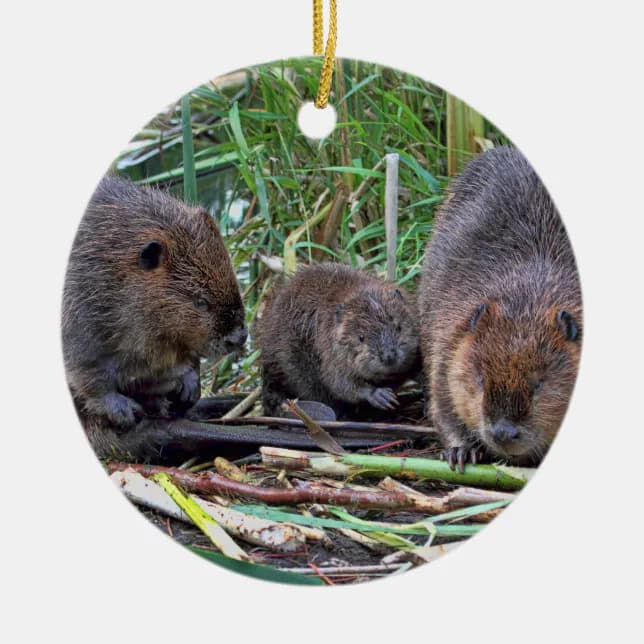 Beaver Family Ceramic Ornament | Zazzle