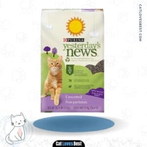 The 9 Best Non-Tracking Cat Litters of 2023 - CatLovesBest