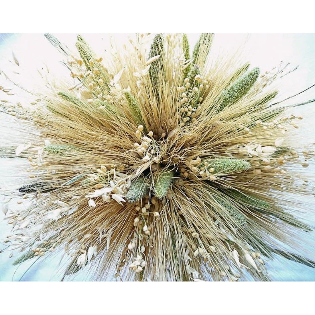Mixed Grain Wheat Bundle - Martha Stewart fall wheat bundle