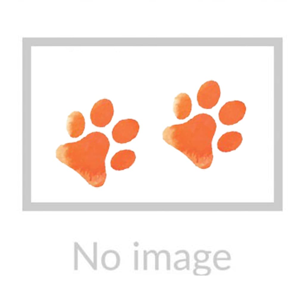 Go! SOLUTIONS Puppy Food - Carnivore - Grain Free Chicken Turkey & Duck ...