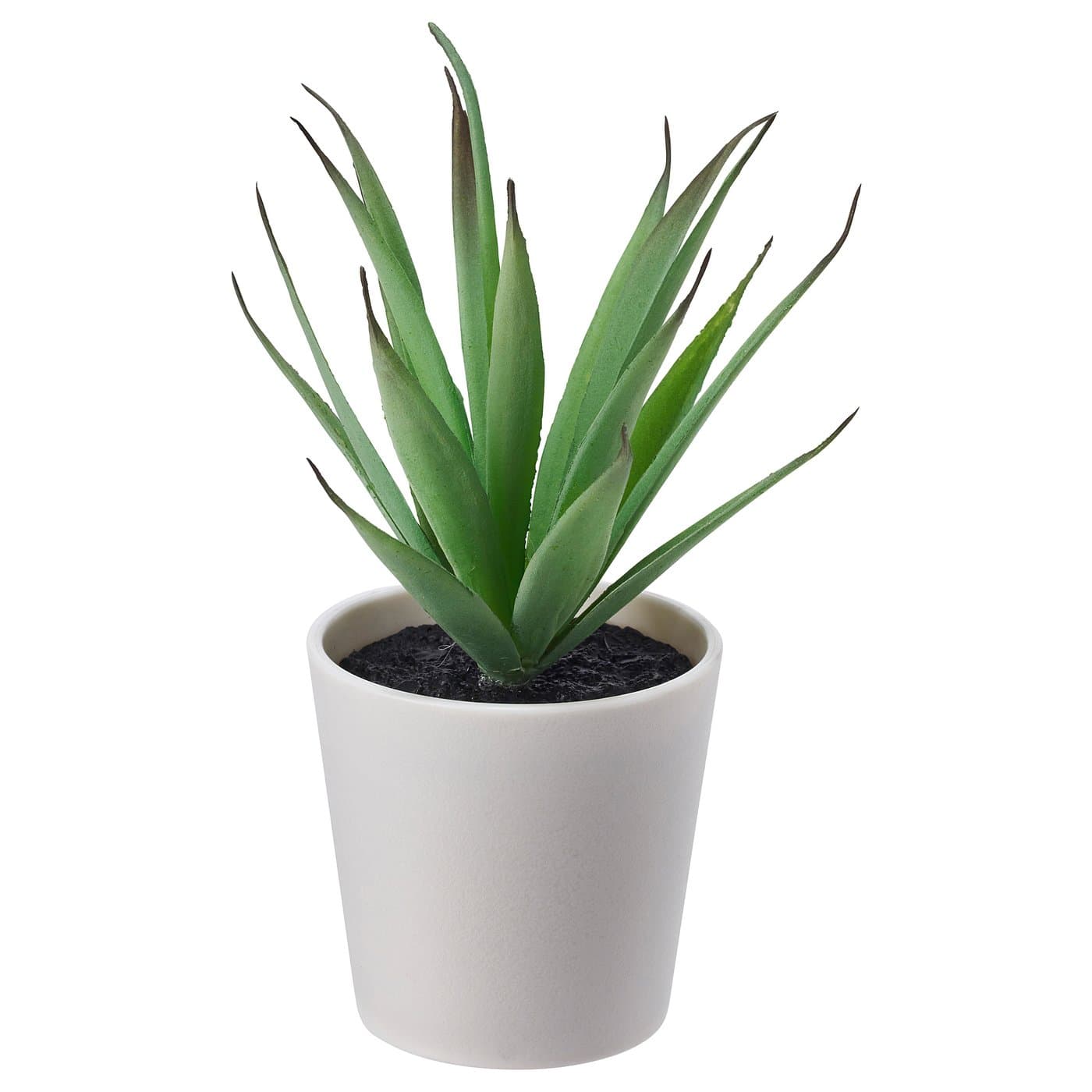 FEJKA Artificial potted plant with pot, indoor/outdoor Succulent ...