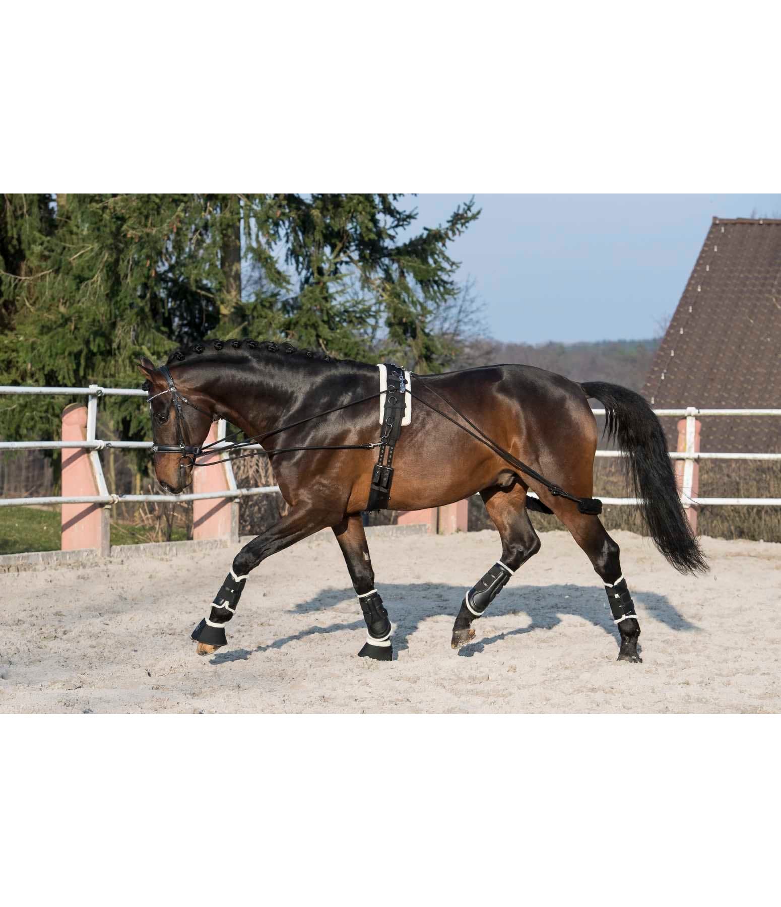 Training System - SHOWMASTER Lungeing & Horse Groundwork - Kramer ...