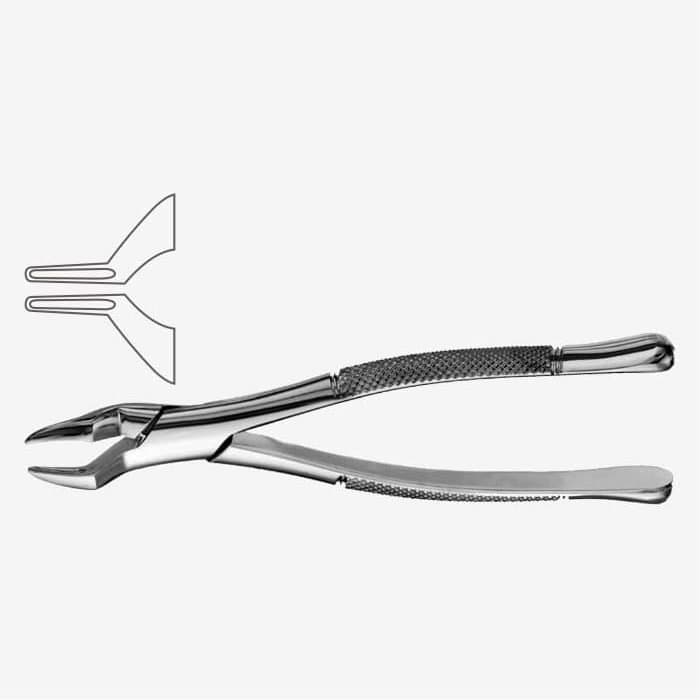 American Pattern Tooth Extraction Forceps Fig. 286 - Xelpov Surgical